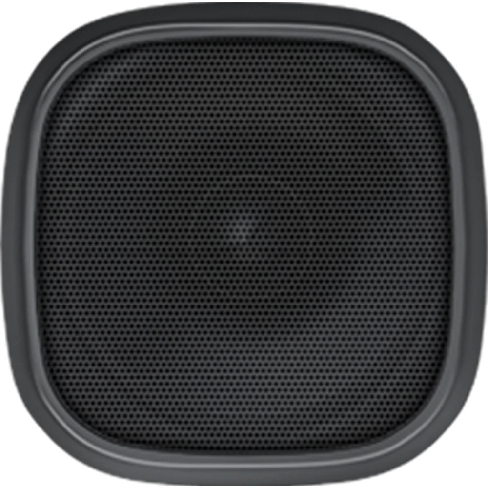 Speaker